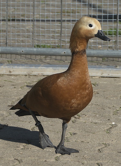 和丹尼尔斯