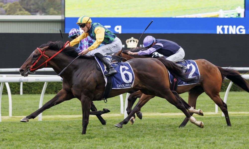 在刚刚结束 在刚刚结束