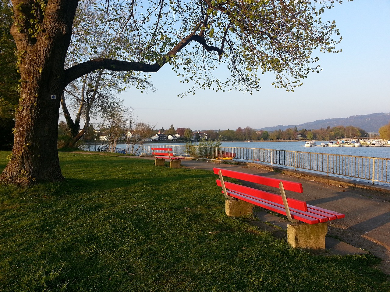 揭开球队新 揭开球队新