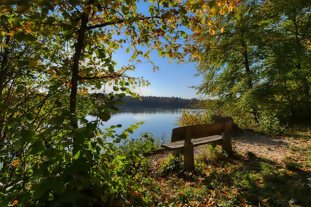 指导性影响 指导性影响